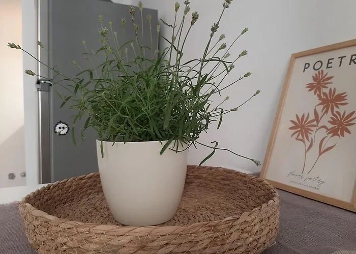 Lägenhet Friends Piran